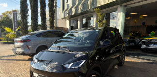 BYD Dolphin Mini 2027: custos de revisão, seguro e ficha técnica